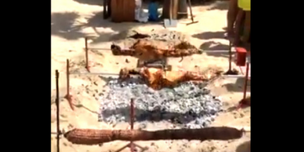 Πάσχα: Στον Αλιμο σούβλισαν τον οβελία στην..παραλία με μαγιό (video)