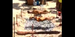 Πάσχα: Στον Αλιμο σούβλισαν τον οβελία στην..παραλία με μαγιό (video)
