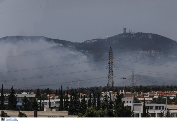 (Φωτ. αρχείου: INTIME)