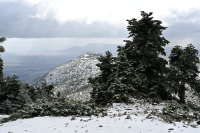 Καιρός - Τυράσκη: Πού θα χιονίσει με τη νέα κακοκαιρία