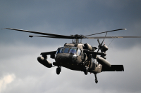 Black Hawk