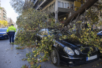 Θεσσαλονίκη: Πτώσεις δέντρων λόγω των θυελλωδών ανέμων - Καταπλακώθηκαν αμάξια (Εικόνες - Βίντεο)