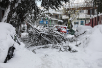 Φορολογικές παρατάσεις στις περιοχές που χτύπησε η Ελπίς