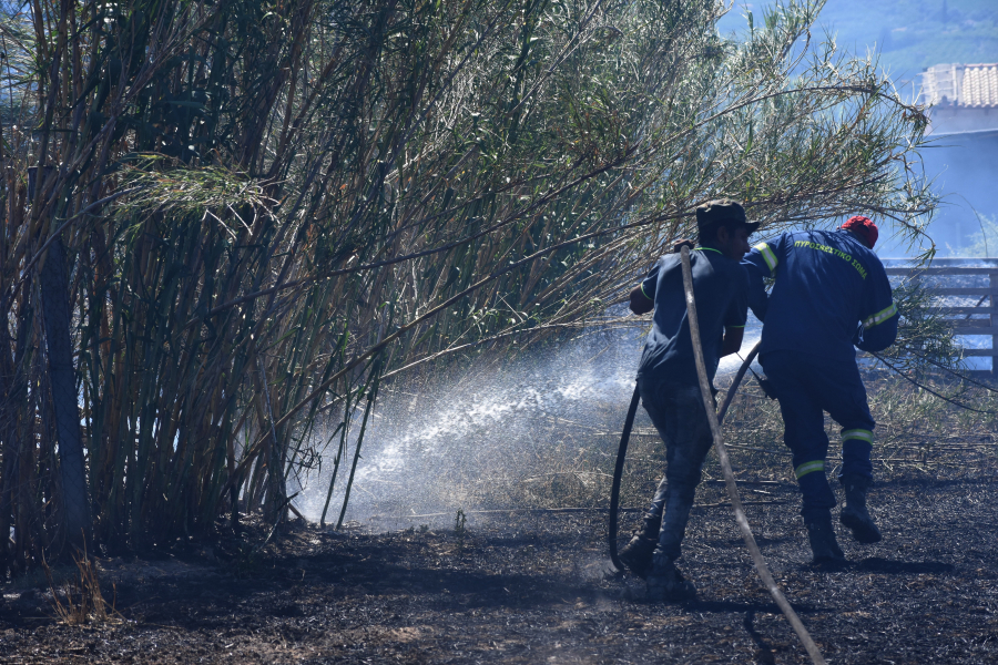 Ρέθυμνο: Οργανωμένο σχέδιο εμπρηστών καταγγέλλει ο Δήμαρχος Αγίου Βασιλείου