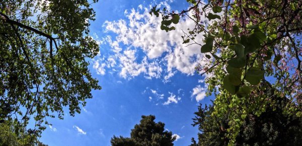 Κολυδάς: Το «κλειδί» για το καιρό των Χριστουγέννων