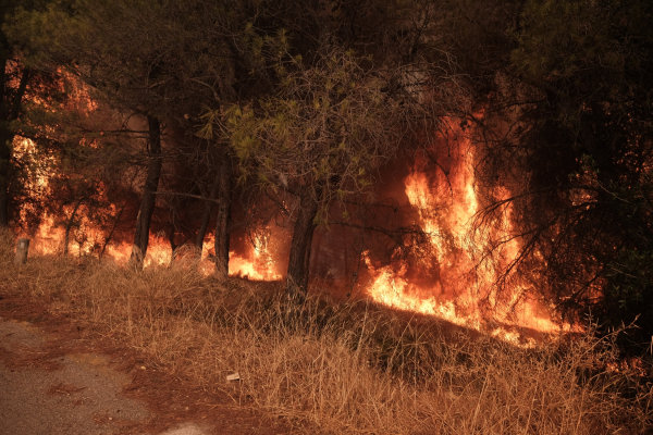 Φωτιά τώρα στο Κανδήλι Μεγάρων - Επιχειρούν έξι εναέρια