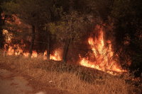 Φωτιά τώρα στο Κανδήλι Μεγάρων - Επιχειρούν επτά εναέρια