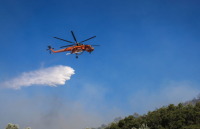 Φωτιά τώρα σε δασική έκταση στον Νέο Κουβαρά Αττικής - Ξεκίνησε από αυτοκίνητο