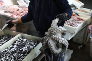 Σαρακοστή: Τι πρέπει να προσέξουμε με χταπόδια, καλαμάρια, γαρίδες και οστρακοειδή