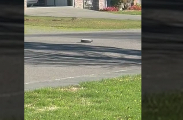 Καλιφόρνια: Σκούπα ρομπότ «απέδρασε» από σπίτι μετά τον ισχυρό σεισμό (Βίντεο)