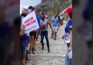 Ιδιοκτήτες γαϊδουριών επιτέθηκαν σε ακτιβιστές για τα δικαιώματα των ζώων (vid)