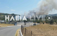 Φωτιά τώρα στην Ηλεία - Ήχησε το 112