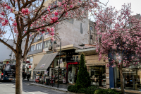 Έρχεται η ελεγχόμενη στάθμευση στα Γιάννενα - Τι ισχύει σε Πάτρα, Τρίκαλα και Λάρισα