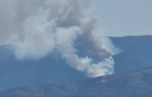 firenews
