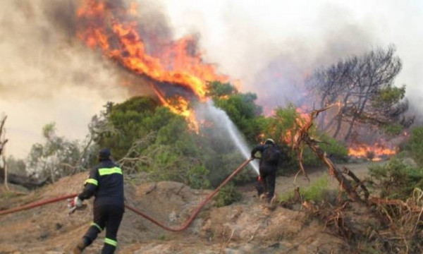 Συλλήψεις για τις φωτιές σε Κάρυστο και Κρήτη