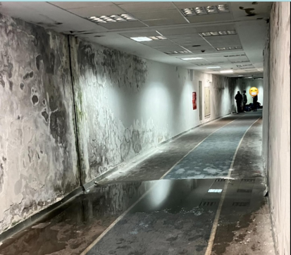 Facebook: Ξανθή Παπακάλα