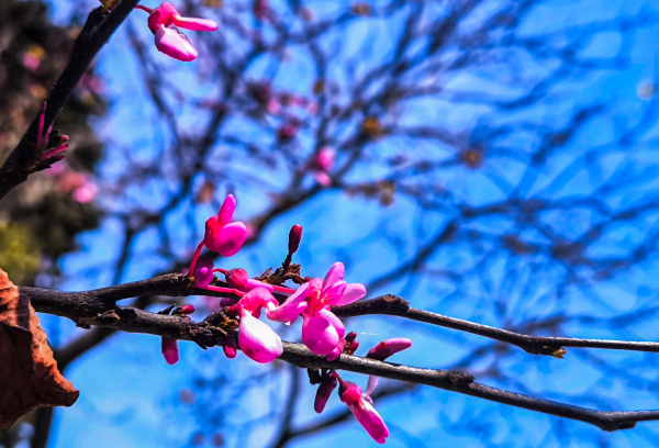 Αίθριος ο καιρός σήμερα Πέμπτη: Πώς θα κινηθεί η θερμοκρασία