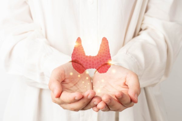 Παραθυρεοειδείς αδένες: Τι πρέπει να γνωρίζετε για τον ρόλο, τις βασικές λειτουργίες τους και τις συχνές παθήσεις