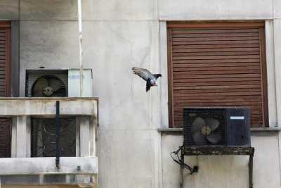 Η κυβέρνηση «πλέκει» το νέο θεσμικό πλαίσιο για τα «κόκκινα» δάνεια