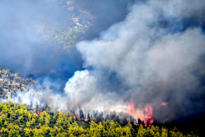 Φωτιές: Έχουν καεί σχεδόν 90.000 στρέμματα δάσους στα Βίλια και 6.000 στη Λαυρεωτική