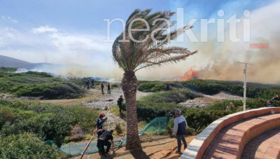 Ανεξέλεγκτη φωτιά στα Μάλια Κρήτης, μεγάλη κινητοποίηση της πυροσβεστικής