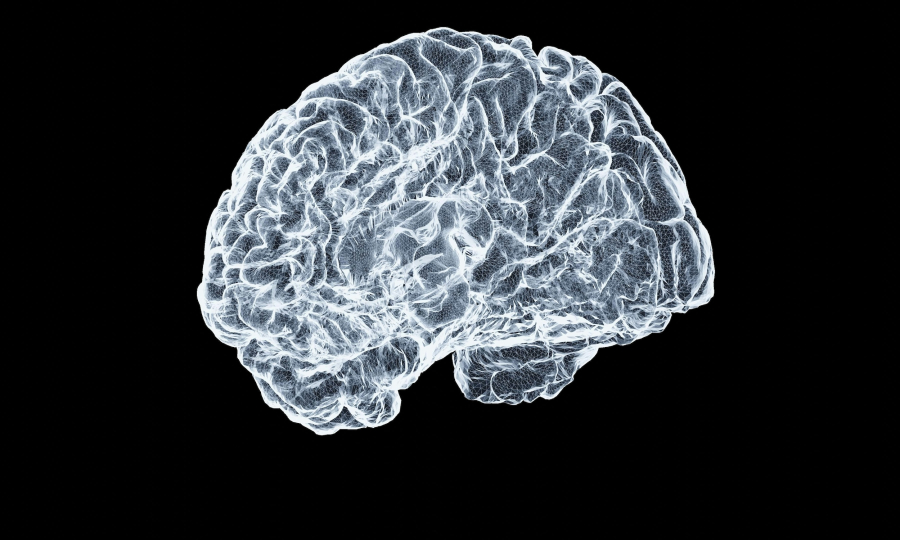 Γαστρεντερολόγος: Το σνακ που μειώνει τον κίνδυνο της άνοιας