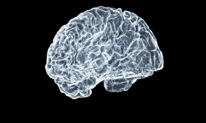 Γαστρεντερολόγος: Το σνακ που μειώνει τον κίνδυνο της άνοιας