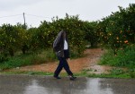 photo: αρχείο Dikaiologitika News