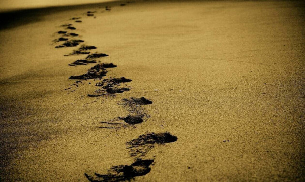 Επίδομα αδείας 2020: Υπολογίστε online το επίδομα