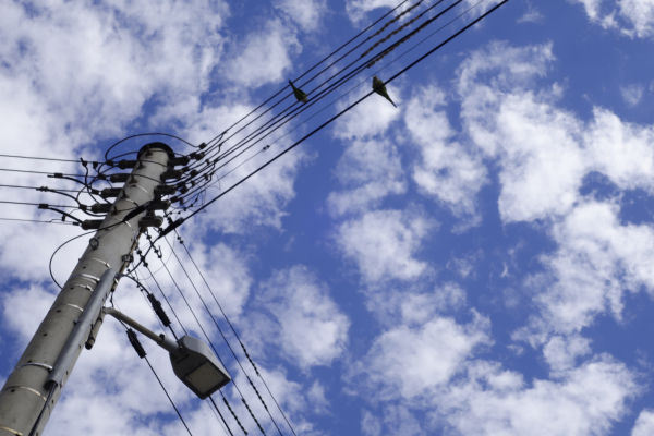 Πόσο κοστίζουν στους καταναλωτές οι ρευματοκλοπές