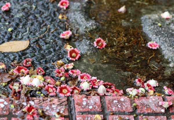 Πάει ...περίπατο η καλοκαιρία - Έρχονται καταιγίδες σε Αθήνα και Θεσσαλονίκη