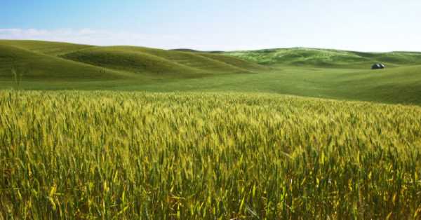 5 Προσλήψεις από το υπουργείο Αγροτικής ανάπτυξης