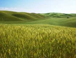 5 Προσλήψεις από το υπουργείο Αγροτικής ανάπτυξης