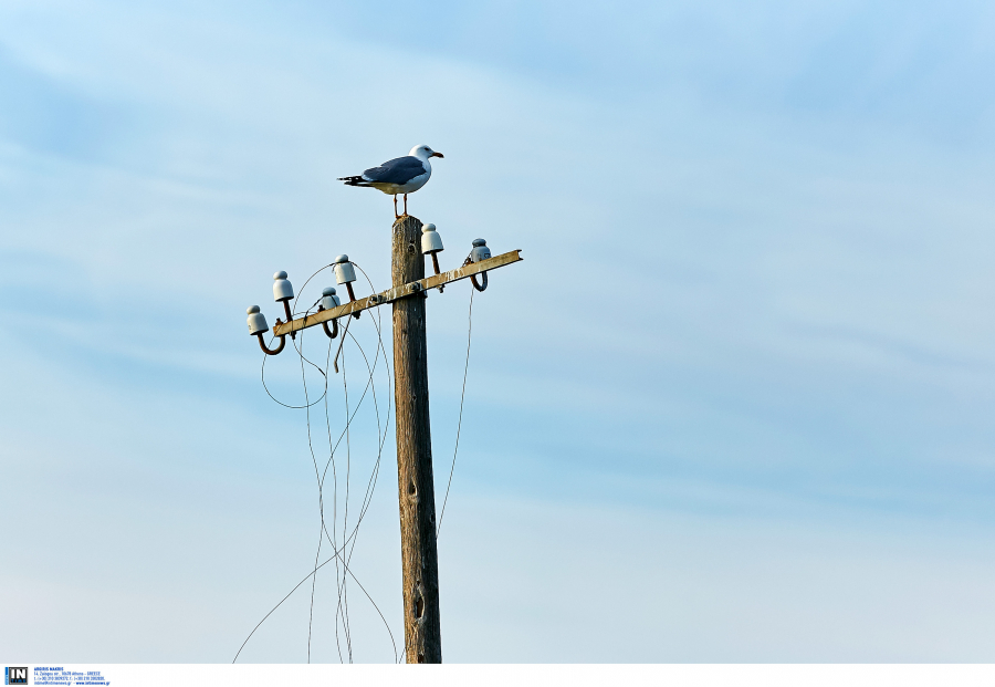 Πόση θα είναι η επιδότηση στους λογαριασμούς ρεύματος - Αναλυτικά τα μέτρα