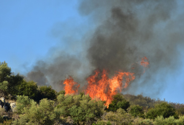 Ναύπλιο: Υπό μερικό έλεγχο η φωτιά σε δασική έκταση κοντά στην ιερά μονή Καρακαλά