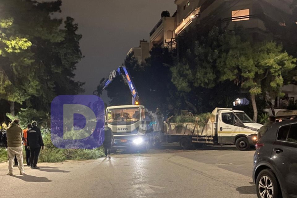 Παλαιό Φάληρο: Κατέρρευσε τεράστιο πεύκο - Ζημιές σε ένα βαν (Φωτογραφίες)