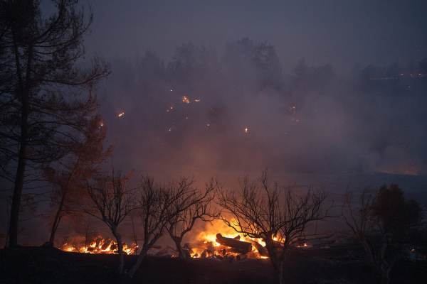 Εισαγγελική έρευνα για το αν τα καλώδια του ΔΕΔΔΗΕ προκάλεσαν φωτιές στη Θεσσαλονίκη: Οι σοβαρές καταγγελίες