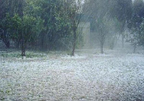 Το χαλάζι «θέρισε» χιλιάδες στρέμματα στα Τρίκαλα