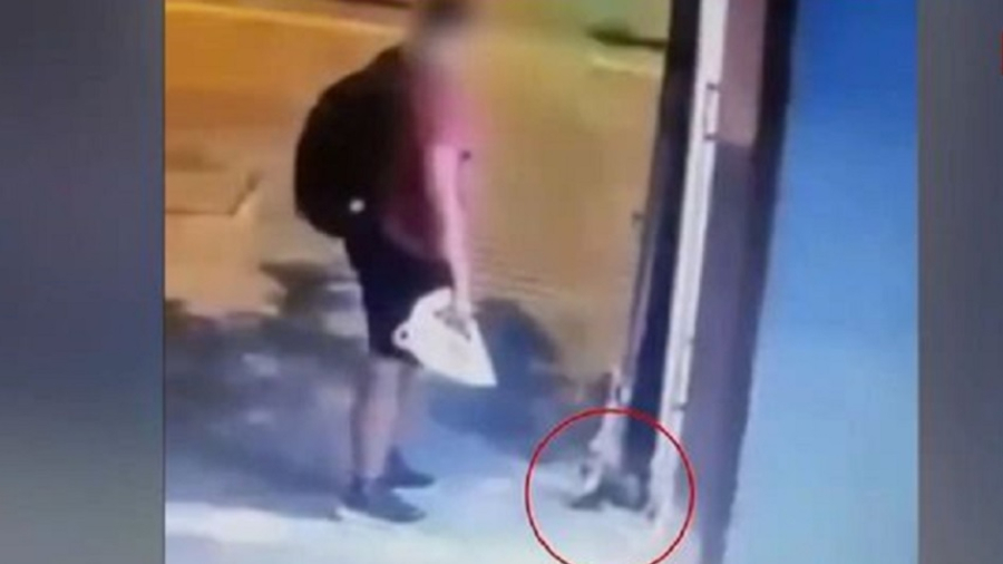 Απαλλαγή για τον 42χρονο που κατηγορήθηκε ότι συνέθλιψε με το πόδι του ένα γατάκι