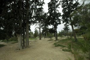 Αρση μέτρων: Τα πάρκα και τα άλση που ανοίγουν στην Αττική
