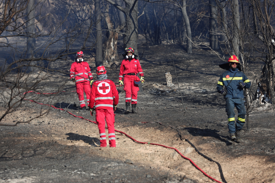 Υπό έλεγχο η φωτιά στην Παιανία: Παραμένουν ισχυρές δυνάμεις στο σημείο (Εικόνες - Βίντεο)