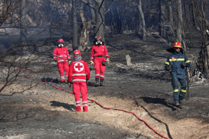 Υπό έλεγχο η φωτιά στην Παιανία: Παραμένουν ισχυρές δυνάμεις στο σημείο (Εικόνες - Βίντεο)