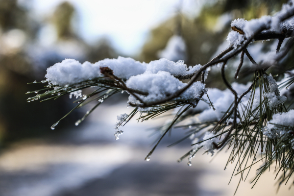 Κλέαρχος Μαρουσάκης: Έρχεται πολική αέρια μάζα από την Αμερική - Δεν αναμένονται ακραίες καταστάσεις