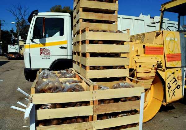 Συνεχίζουν να «καλπάζουν» οι εξαγωγές ελληνικών νωπών φρούτων και λαχανικών 