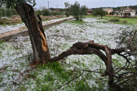 Αντιμέτωπη με την κακοκαιρία η μισή Ελλάδα: Χαλάζι, πλημμυρισμένα σπίτια, κλειστά σχολεία, δρόμοι χείμαρροι (βίντεο)