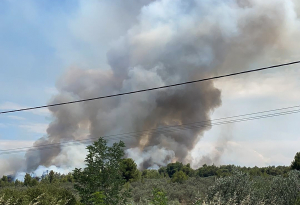 Συνελήφθη κτηνοτρόφος για φωτιές στον Δομοκό: «Μου αρέσει να βλέπω τα εναέρια να κάνουν ρίψεις νερού»