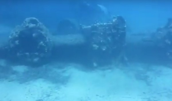 Βίντεο από το σημείο «αναπαύσεως» του Martin Baltimore στην Ικαρία