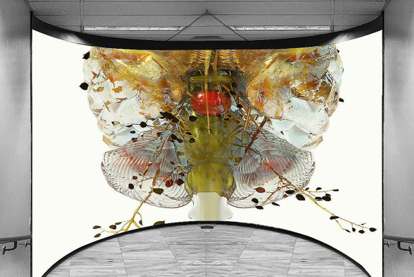 PHYTOBIOSOMES by COSTAS PICADAS: Mια μοναδική έκθεση από έναν πολυσχιδή καλλιτέχνη