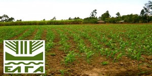 Παράταση έως τις 29/6 για την ειδική ασφαλιστική εισφορά υπέρ ΕΛΓΑ έτους 2017