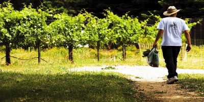 Οδηγίες για τα βιβλία των αγροτών του ειδικού καθεστώτος